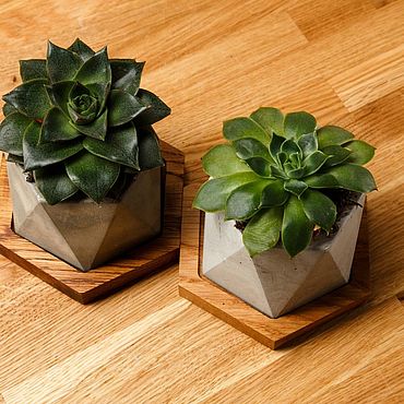 Цветы и флористика ручной работы. Ярмарка Мастеров - ручная работа Кашпо Топаз. Handmade.