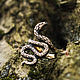 Snake Ring. Ring with a snake. Snake ring. bronze silver. Rings. Mastenarium (mastenarium). My Livemaster. Фото №4