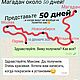 Декоративная перегородка для зонирования Клетка. Ширмы. Декормакс. Ярмарка Мастеров.  Фото №4