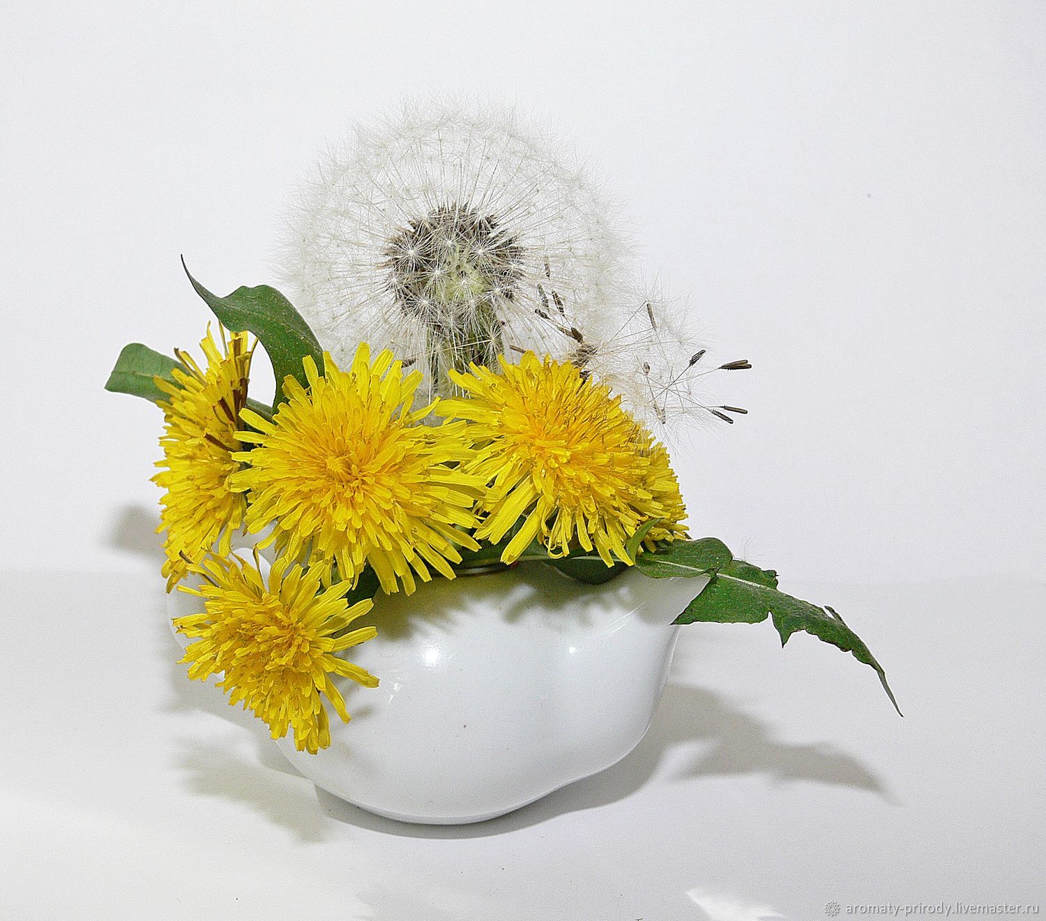 Гидролат одуванчика 2024 купить в интернет-магазине Ярмарка Мастеров по ...