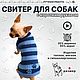  Жилет полосатый для собак «Лапки», Одежда для питомцев, Геленджик,  Фото №1