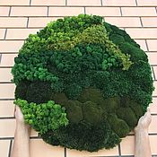 Картины и панно handmade. Livemaster - original item Round phytocart of different types of moss 70 cm. Handmade.