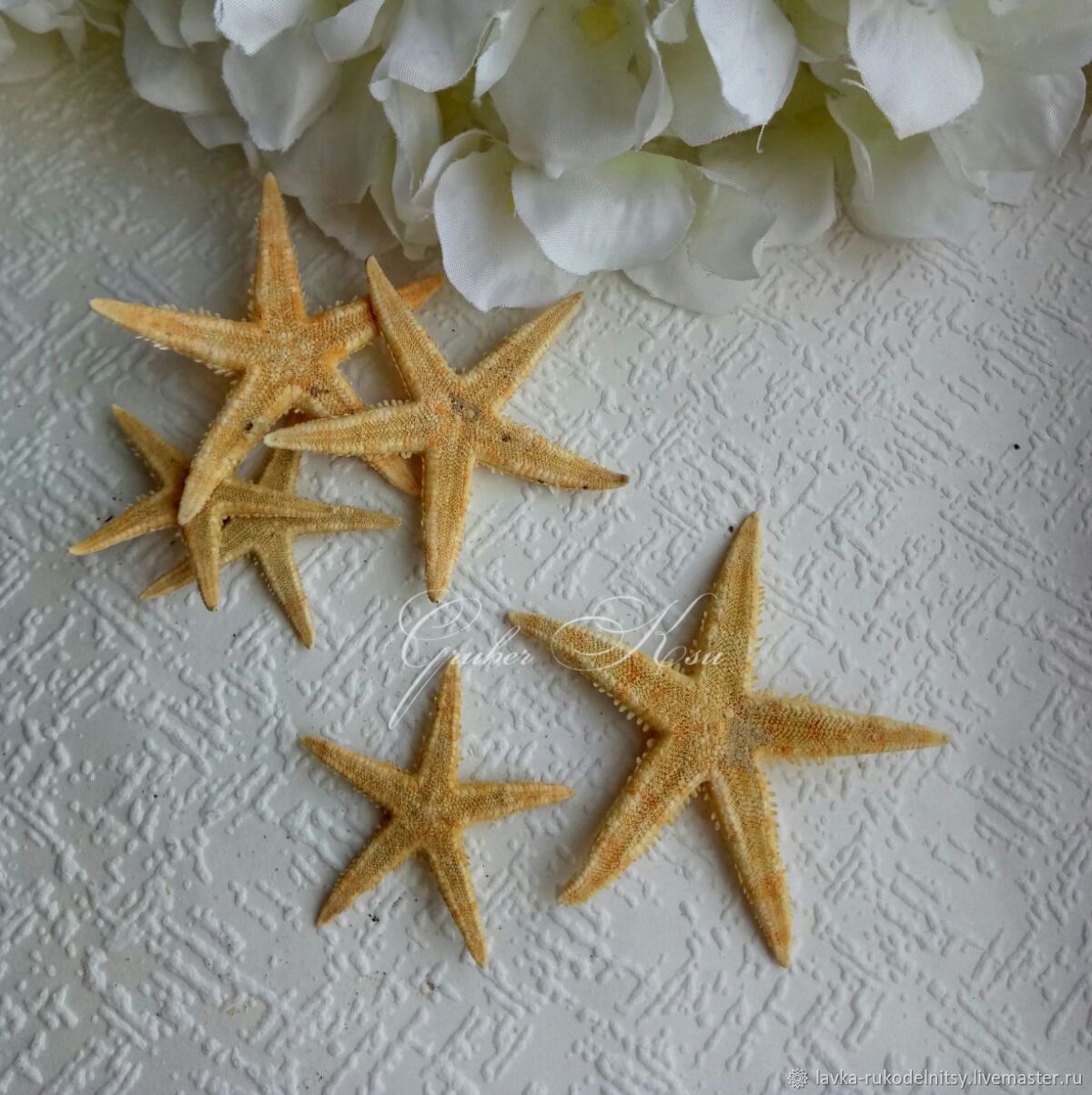 морская звезда из мастики фото