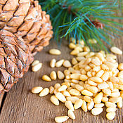Материалы для творчества handmade. Livemaster - original item - Pine nuts. Handmade.