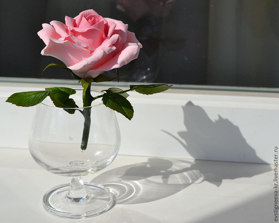 Лучшие розы в вазе. Цветы в прозрачной вазе. Один цветок в вазе.