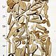 Лот 2 дрифтвуд мальки фактурные, 15 наборов. Природные материалы. Дрифтвуд Балтика-39. Ярмарка Мастеров.  Фото №13