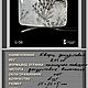 Дендритовый кварц 8.75ct, Бразилия. Камни. «ФИЛОСОФИЯ КАМНЯ». Интернет-магазин Ярмарка Мастеров.  Фото №2