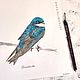   Bird swallow watercolor. Pictures. vettochka. Online shopping on My Livemaster.  Фото №2