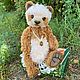 Тедди панда Миша, 32 см. Мишки Тедди. Totoshka Teddy. Ярмарка Мастеров.  Фото №6
