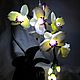 La flor de la lámpara de la orquídea phalaenopsis blanca. Table lamps. Elena Krasilnikova. Интернет-магазин Ярмарка Мастеров.  Фото №2
