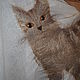 КотоПашмина. Палантины. Катерина Шерстяная кошка (woollencat). Ярмарка Мастеров.  Фото №6