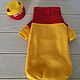 Clothing for cats 'Jacket with cap - Yellow with red'. Pet clothes. Happy-sphynx. Online shopping on My Livemaster.  Фото №2