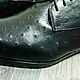 Men's Derby, ostrich leather, fur, black, handmade!. Derby. SHOES&BAGS. My Livemaster. Фото №6