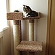 Scratching post with bed 'Asti' (suitable for large cats), Scratching Post, Ekaterinburg,  Фото №1