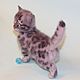 Bengal kitten felt'Haines'. Felted Toy. Anna Petinati- Live toys handmade. My Livemaster. Фото №6