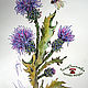 Paintings: watercolor botanical illustration of THISTLE and DRAGONFLY, Pictures, Moscow,  Фото №1
