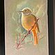 Bird spring. Pastel. 21*30 cm. Pictures. alm-studio. Online shopping on My Livemaster.  Фото №2