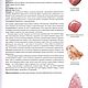 "PinkWorld" Розовый Кварц. Комплект серебряный. Комплекты украшений. DenSi-Stone-Store (Denis Simiohin). Ярмарка Мастеров.  Фото №6