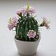 Cactus polymer clay, plants, art work,interior arrangement,ceramic floristry

