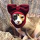 Clothing for cats 'cap', Pet clothes, Biisk,  Фото №1