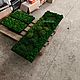Панно из мха | картина из мха 150*50см. Панно. Green.Box. Ярмарка Мастеров.  Фото №6