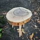 Кофейный столик "Орех". Столы. Akutrau Woodworking. Ярмарка Мастеров.  Фото №4