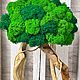 Дерево дрифтвуд для подарка - из мха в кашпо. Элементы интерьера. Светлана. Ярмарка Мастеров.  Фото №7