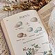 Винтаж: Эдит Холден. The country diary of Edwardian lady. Книги винтажные. Antik-book. Интернет-магазин Ярмарка Мастеров.  Фото №2