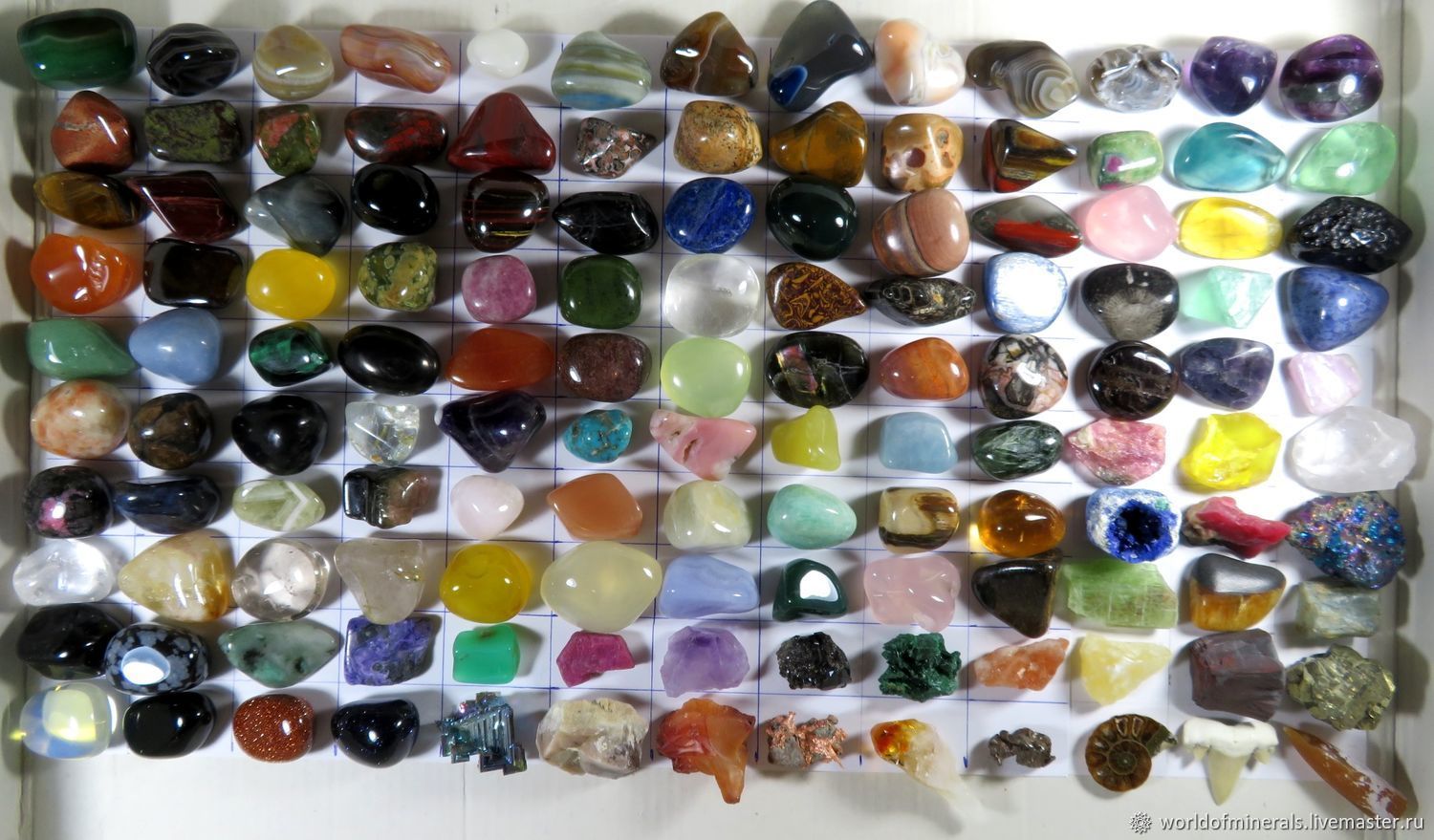 Коллекция самоцветов. Коллекция "минералы и горные породы" (поделочные камни). Коллекция минералы и горные породы 20 видов. Коллекционирование камней и минералов. Коллекция Минеральных камней.