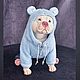 Зефир Фарфоровая собака. Шарнирный American bully Американский хулиган. Шарнирная кукла. FROZENWORLD.ART by Людмила Григоровская (bjdanimals). Ярмарка Мастеров.  Фото №5