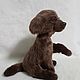 Chocolate puppy Philemon. Stuffed Toys. Tatus-Toys. Online shopping on My Livemaster.  Фото №2