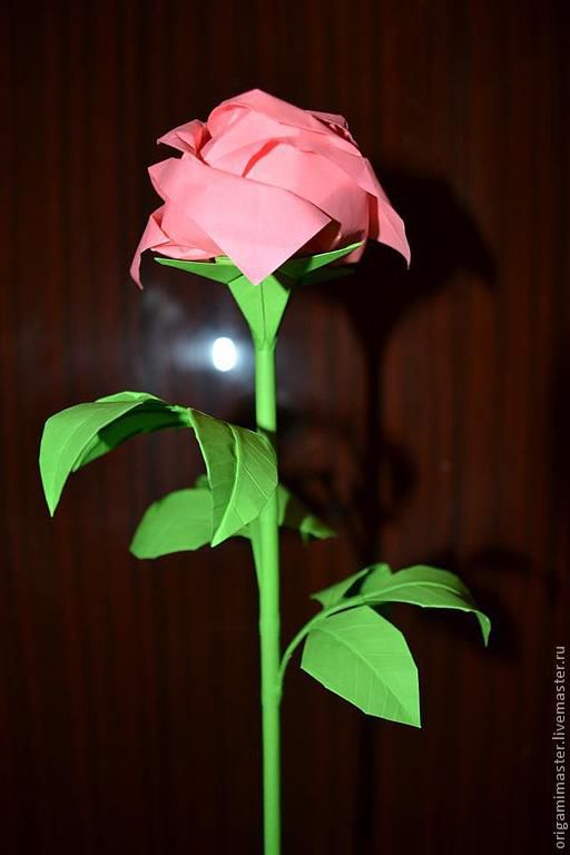 Origami ® | Roses' Name