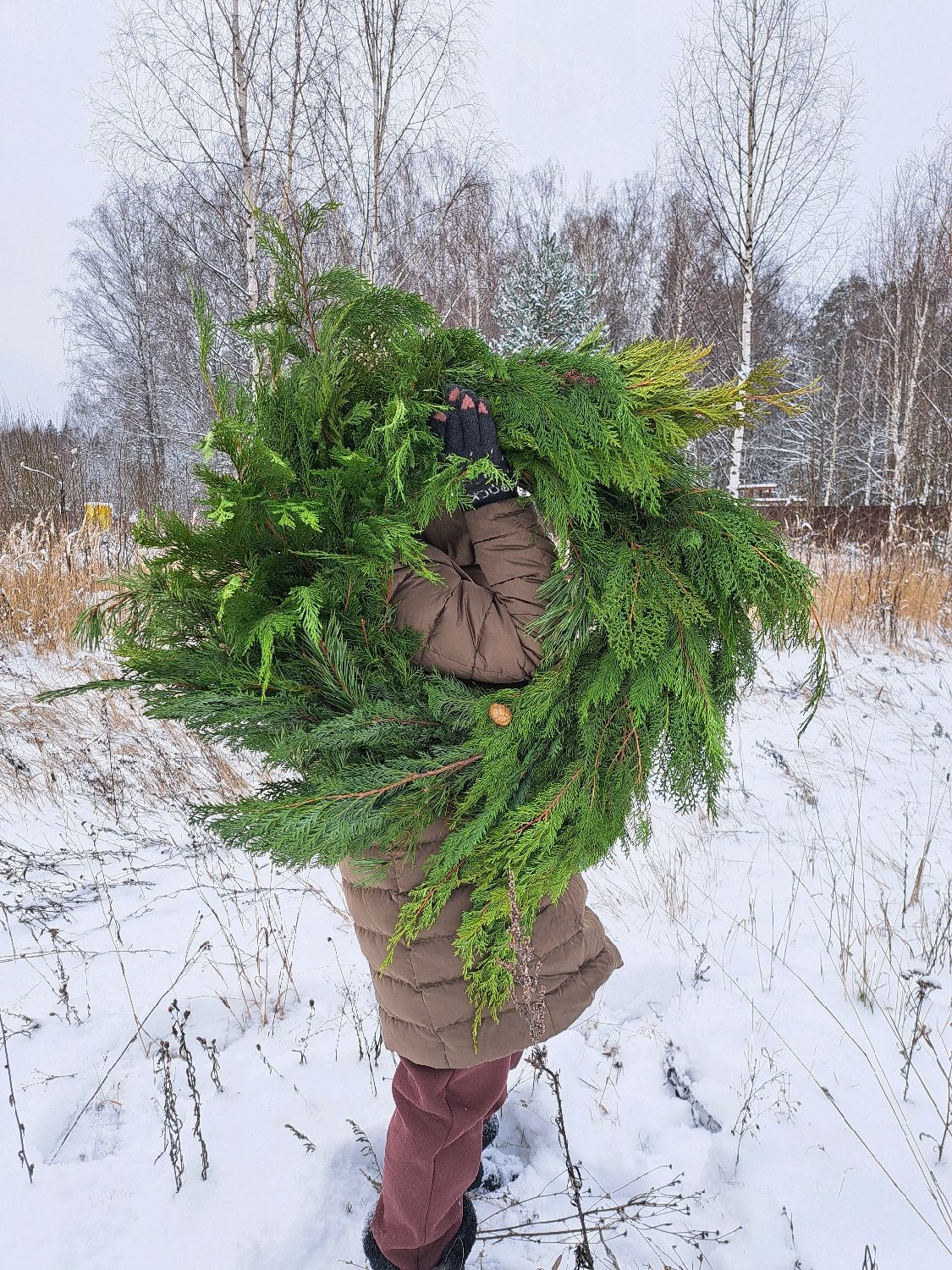 Венок из можжевельника микс – заказать на Ярмарке Мастеров – U67GMRU |  Новогодние композиции, Москва