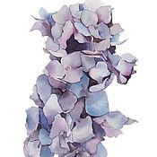 Картины и панно handmade. Livemaster - original item Watercolor painting Hydrangea (blue lilac flowers). Handmade.