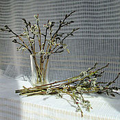 Таволга вязолистная, лабазник, лист сушеный