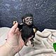  горилла черная. Тедди Зверята. IRINA FEDI TOYS. Ярмарка Мастеров.  Фото №6