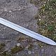 Viking Sword Langseax, Souvenir weapon, Kaliningrad,  Фото №1