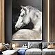 Интерьерная картина маслом на холсте Белая лошадь Картина с лошадью, Картины, Москва,  Фото №1