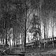 Русалочья. Авторкая работа. Фотокартины. ЛёКа. Интернет-магазин Ярмарка Мастеров.  Фото №2