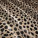 Ткань мех хлопок/вискоза натуральная леопард , Италия. Ткани. ТКАНИ OUTLET. Интернет-магазин Ярмарка Мастеров.  Фото №2