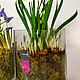Первоцветы в Цилиндре 20см Весеники на 8 марта. Подарки на 8 марта. DARK FLORIST Флористика Декор ЦВЕТЫ. Интернет-магазин Ярмарка Мастеров.  Фото №2