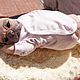 Reborn-the pug Princess 3. Reborn. Doll's Paradise (Lyudmila79). Online shopping on My Livemaster.  Фото №2