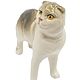 Вислоухая кошка, Шотландская кошка фарфоровая статуэтка. Статуэтка. Art_Animal_Planet. Интернет-магазин Ярмарка Мастеров.  Фото №2