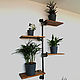 Copy of Copy of Industrial style wall shelves made of wood and pipes, Shelves, Chelyabinsk,  Фото №1