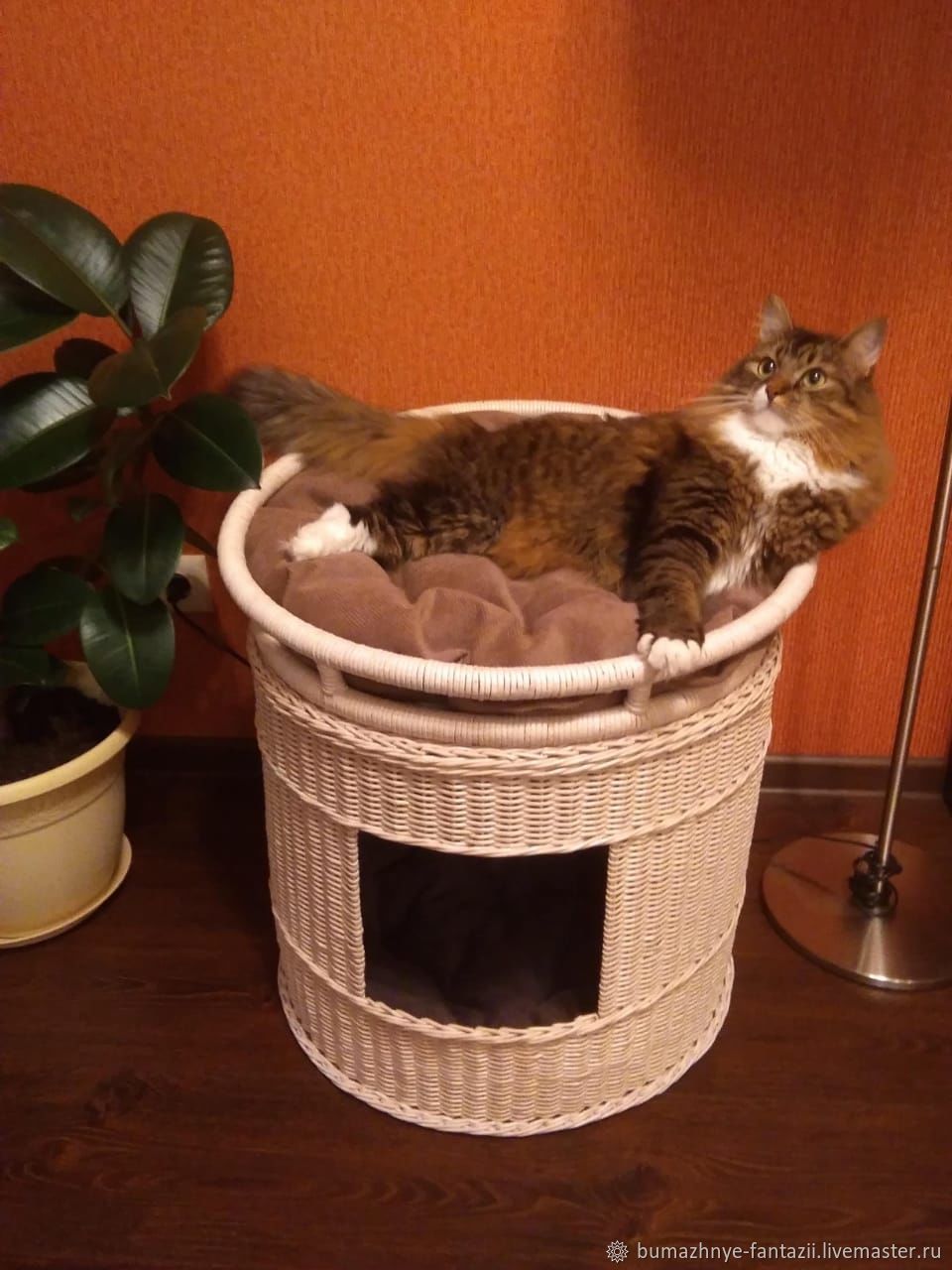 Удобные и экологичные домики для кошек