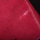 Sea stingray skin, oval, width 23-24 cm IMC2005VP1, Leather, Moscow,  Фото №1