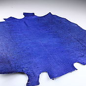 Материалы для творчества handmade. Livemaster - original item Lizard skin, abdominal part of the skin, width 33-35 cm IMR2003C. Handmade.