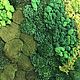 Round phytocart of different types of moss 70 cm. Fitokartins. Антонина Литовкина - Озеленение (Планета Флористики). My Livemaster. Фото №6