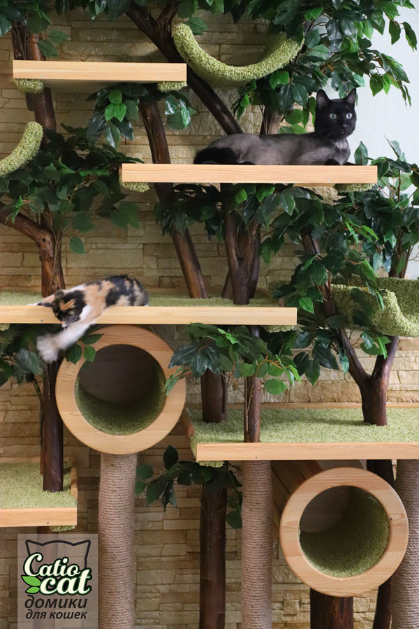 Комплекс домик для кошек — Дерево для кошки Catio Бют в интернет ...