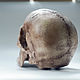 Анатомический череп современного человека, череп Homo Sapiens. Статуэтки. Чё по черепам. Ярмарка Мастеров.  Фото №5